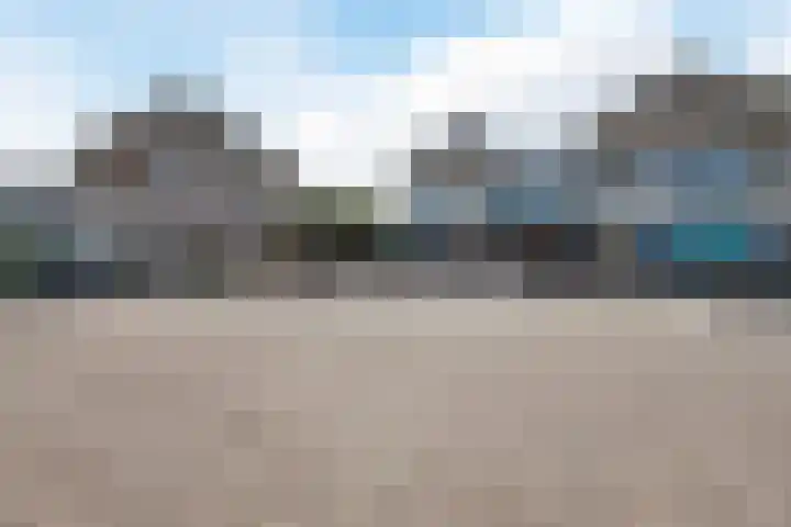 Walstein 75 Harderwijk thumbnail 41
