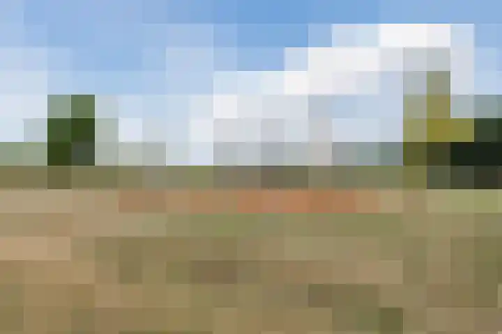 Walstein 75 Harderwijk thumbnail 42