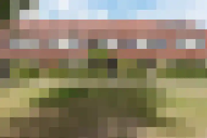 Walstein 75 Harderwijk thumbnail 49