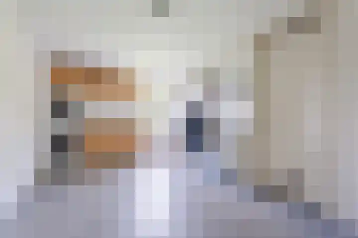 Walstein 97 Harderwijk thumbnail 33