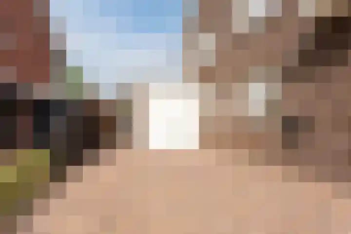 Walstein 97 Harderwijk thumbnail 4