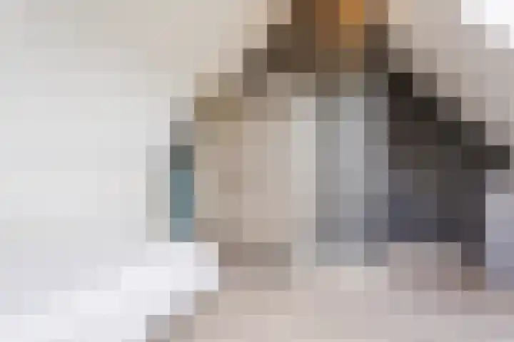 Walstein 97 Harderwijk thumbnail 53