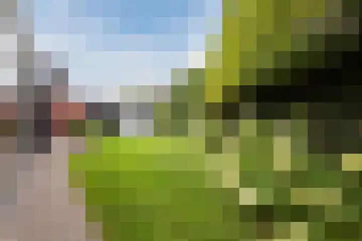 Walstein 97 Harderwijk thumbnail 59