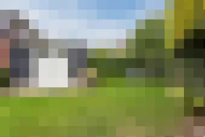 Walstein 97 Harderwijk thumbnail 60