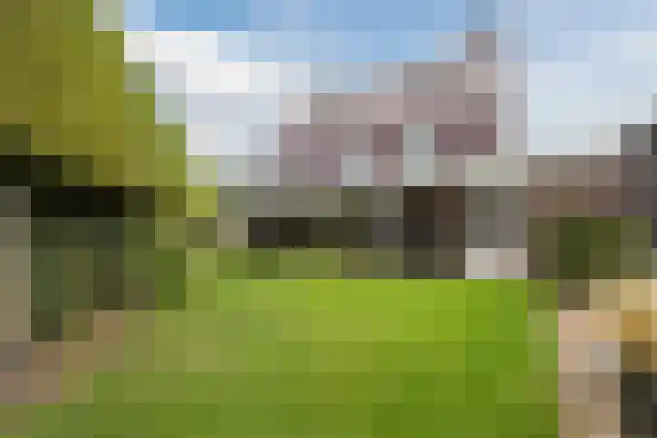 Walstein 97 Harderwijk thumbnail 61