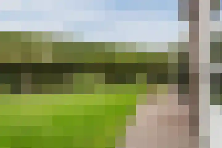 Walstein 97 Harderwijk thumbnail 62