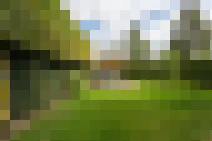 Walstein 97 Harderwijk thumbnail 63