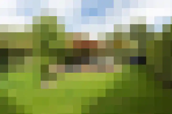 Walstein 97 Harderwijk thumbnail 64