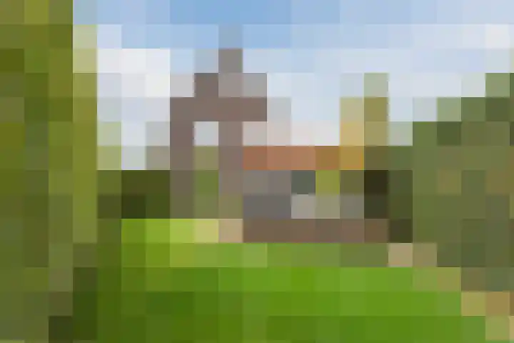 Walstein 97 Harderwijk thumbnail 65