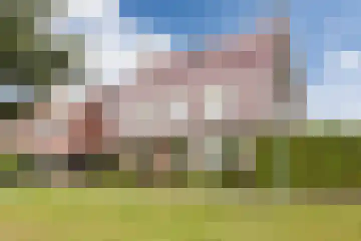 Walstein 97 Harderwijk thumbnail 66