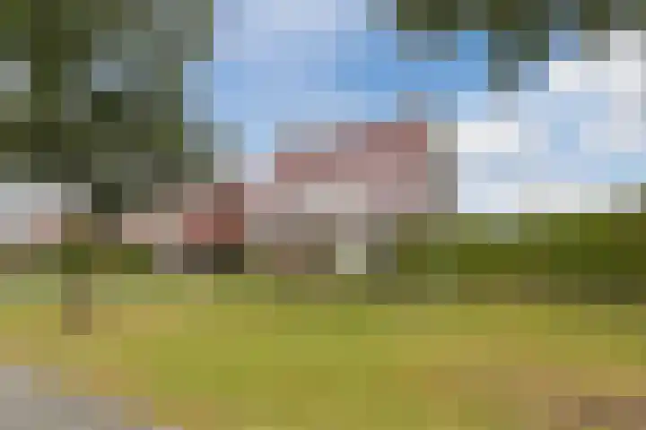 Walstein 97 Harderwijk thumbnail 67