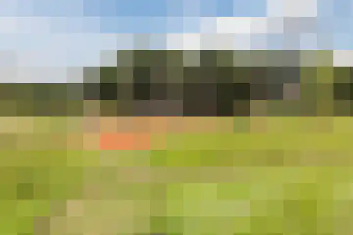 Walstein 97 Harderwijk thumbnail 69