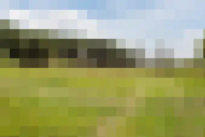 Walstein 97 Harderwijk thumbnail 70