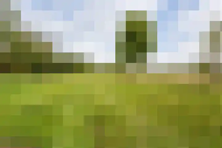 Walstein 97 Harderwijk thumbnail 71