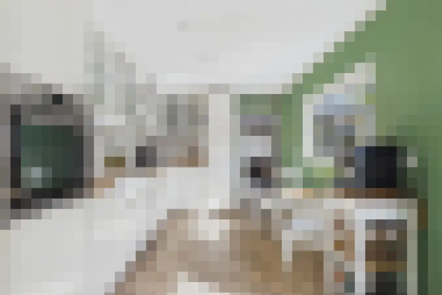 Walstraat 1 Sas van Gent thumbnail 16
