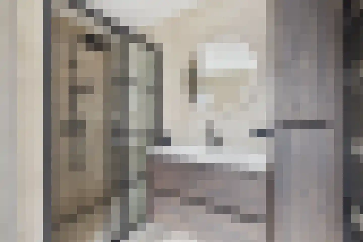 Walstraat 1 Sas van Gent thumbnail 18