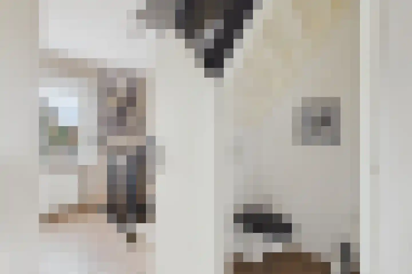 Walstraat 1 Sas van Gent thumbnail 24