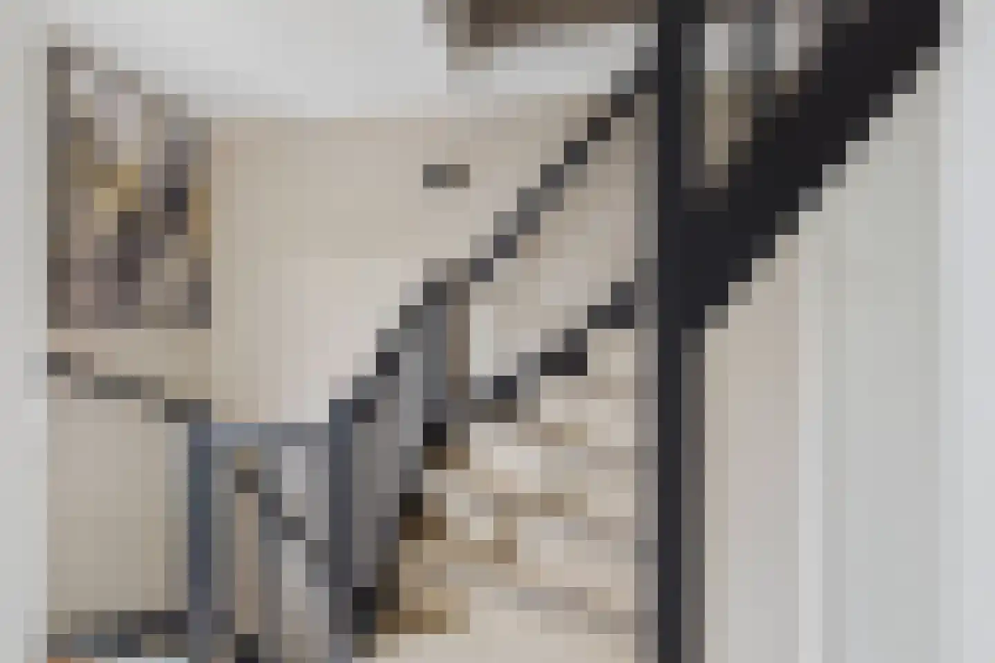 Walstraat 1 Sas van Gent thumbnail 32