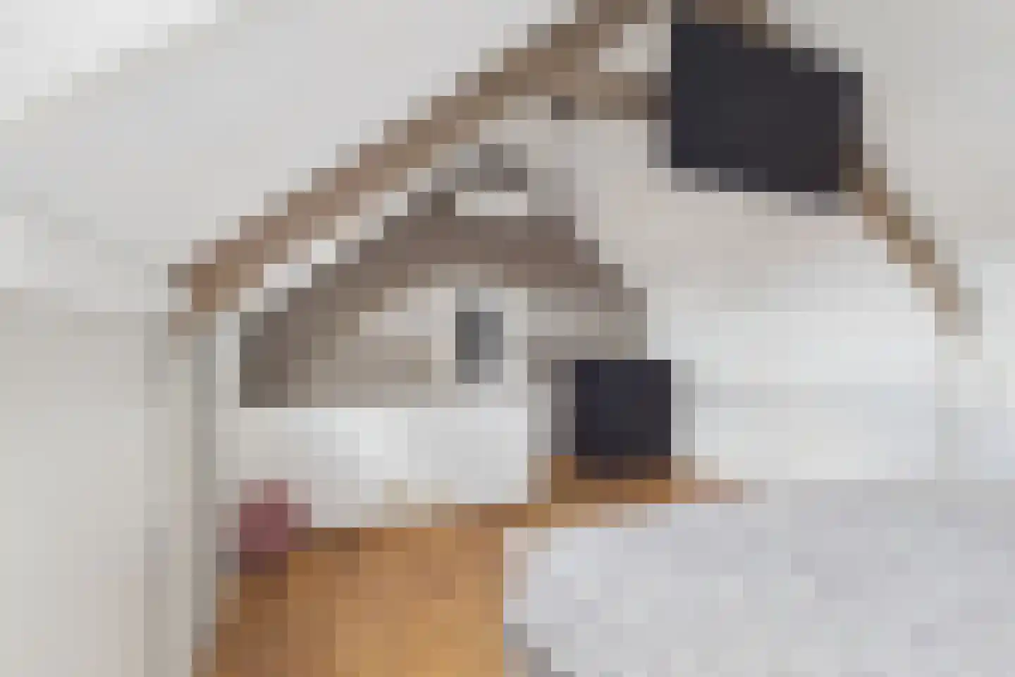 Walstraat 1 Sas van Gent thumbnail 35