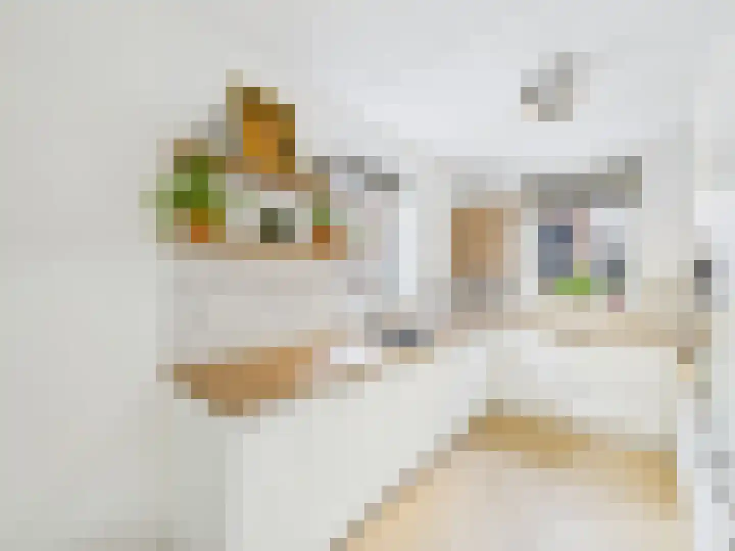 Walstraat 1 Terneuzen thumbnail 12