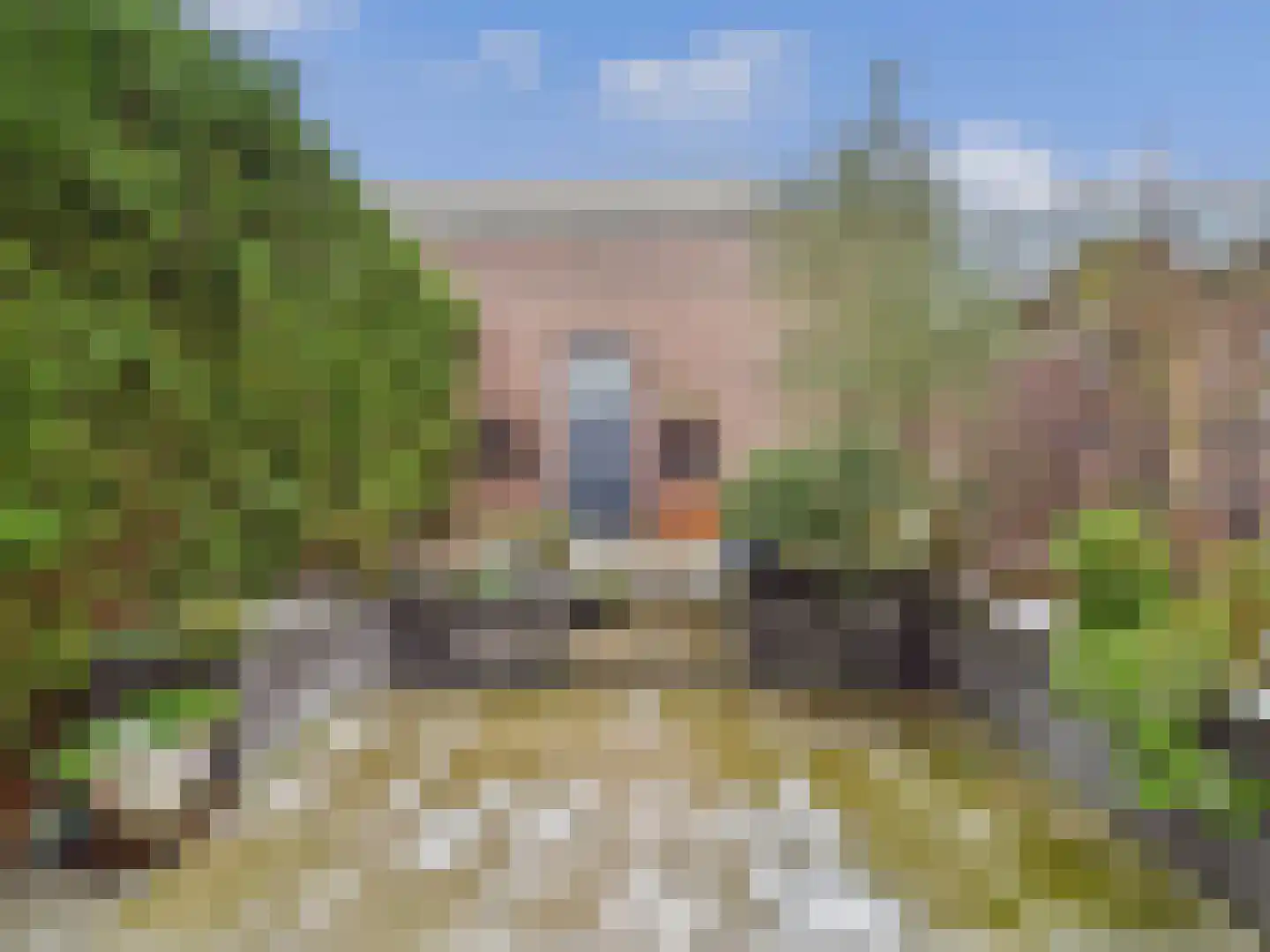 Walstraat 1 Terneuzen thumbnail 29
