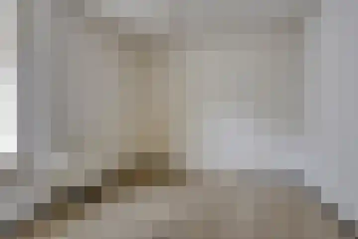 Walstraat 1 Vlodrop thumbnail 17