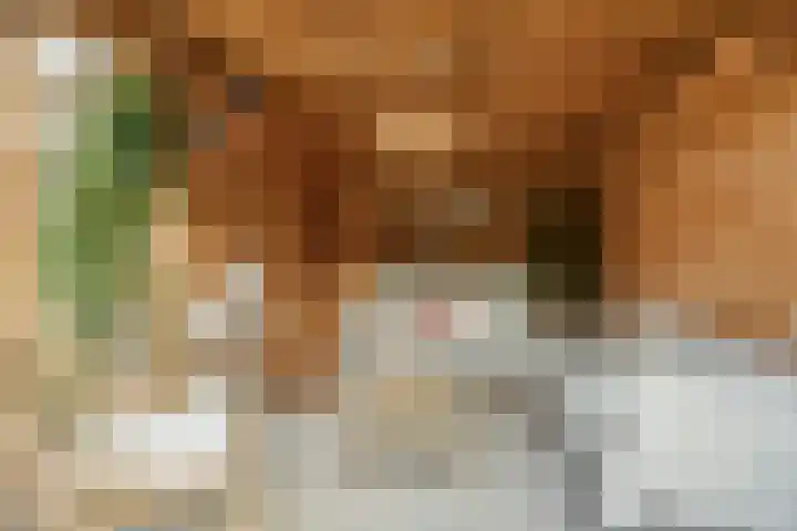 Walstraat 10 Emmen thumbnail 34