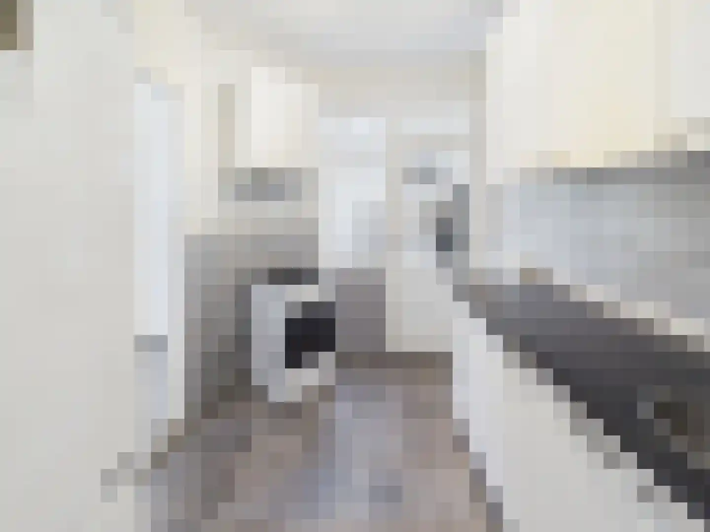 Walstraat 10 Sas van Gent thumbnail 10