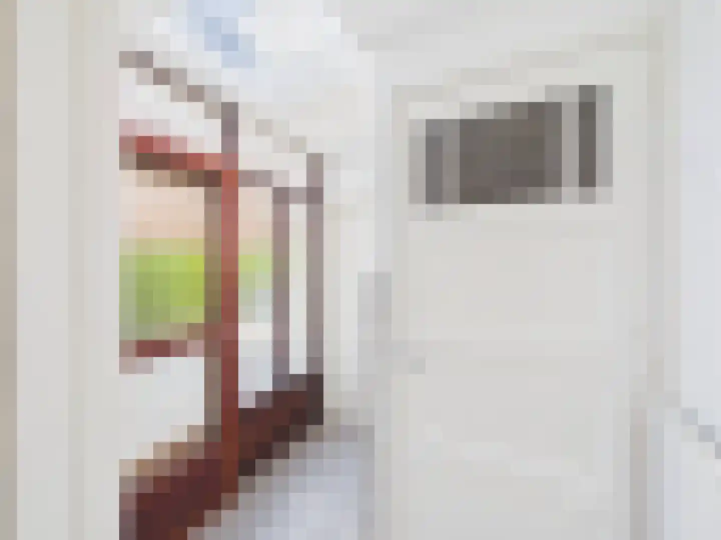 Walstraat 10 Sas van Gent thumbnail 11