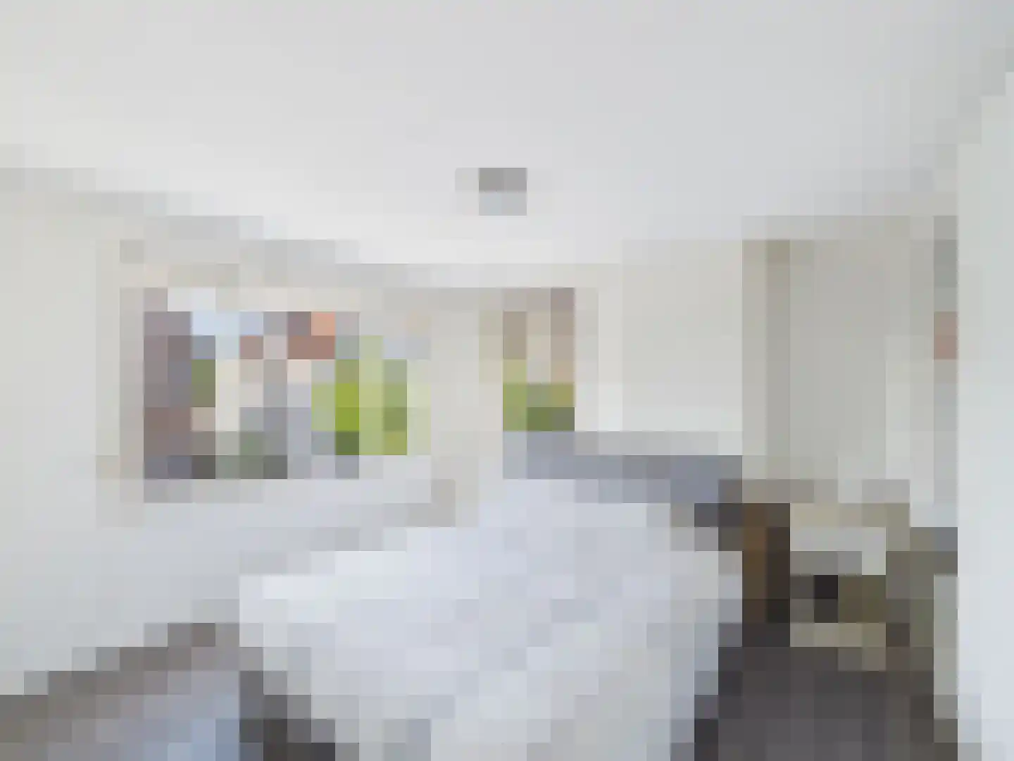 Walstraat 10 Sas van Gent thumbnail 16