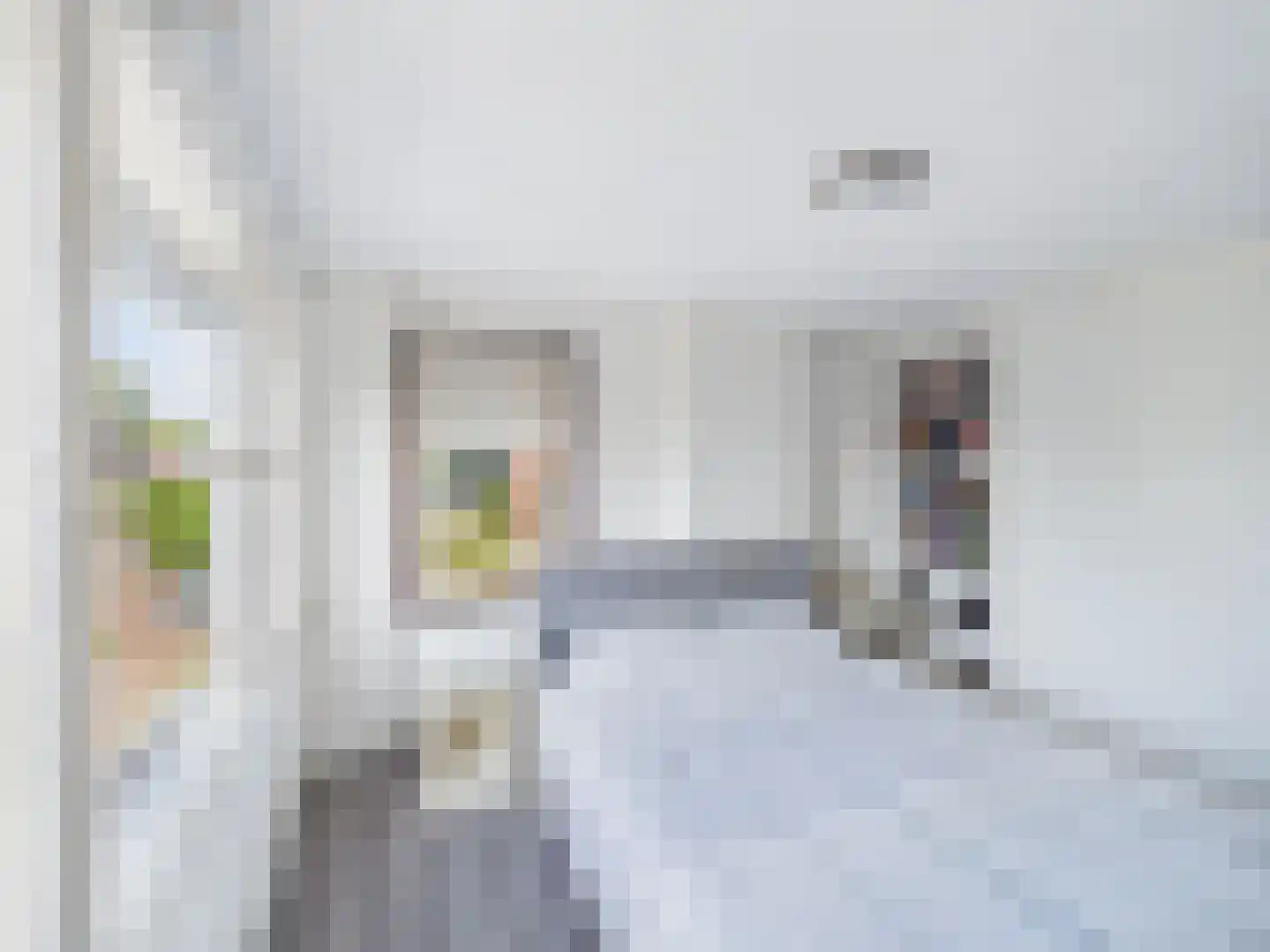 Walstraat 10 Sas van Gent thumbnail 17