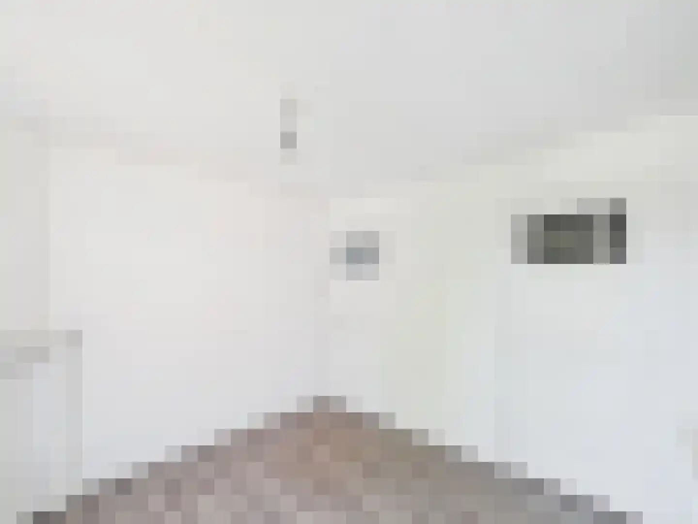 Walstraat 10 Sas van Gent thumbnail 20
