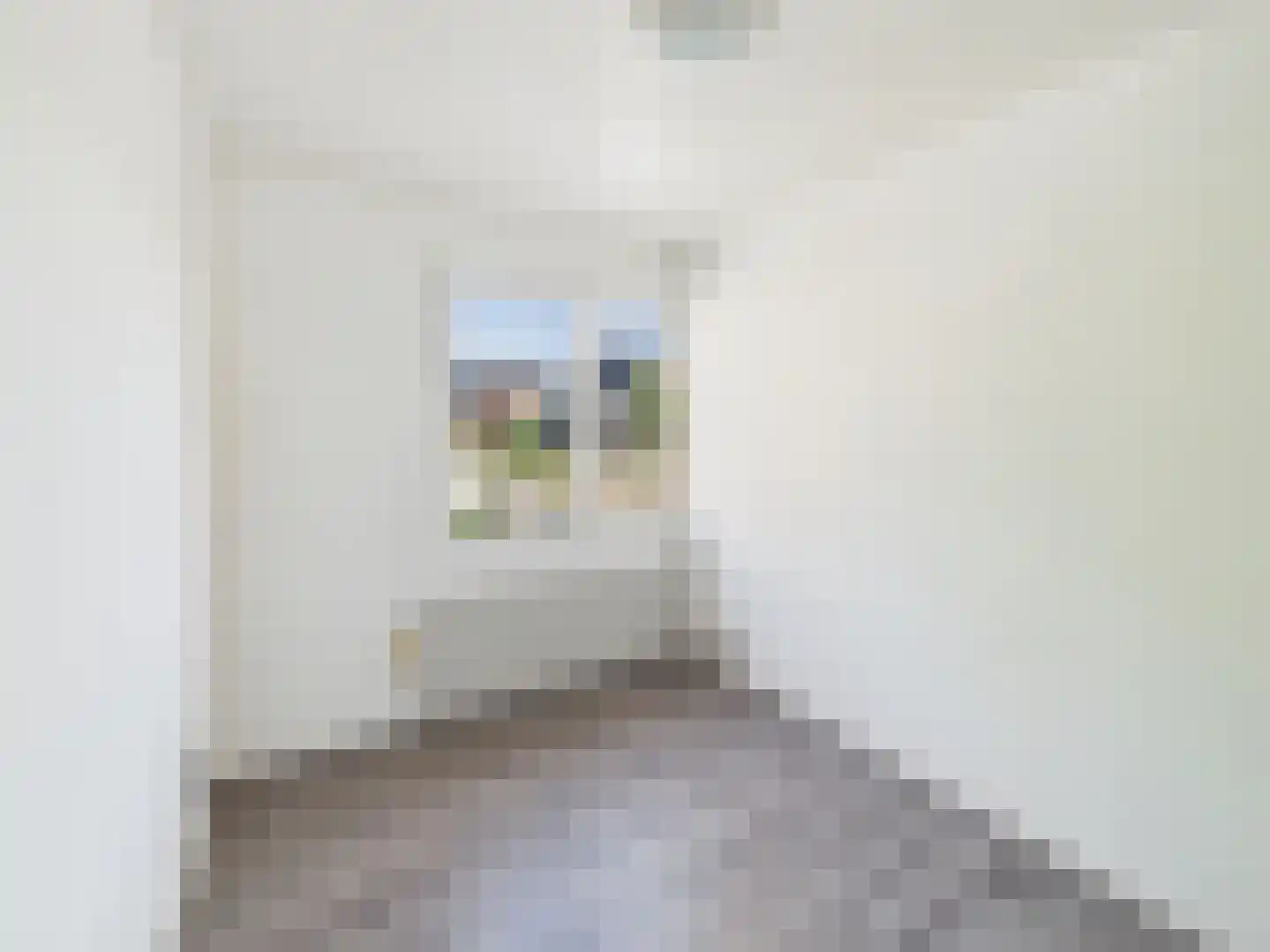 Walstraat 10 Sas van Gent thumbnail 21