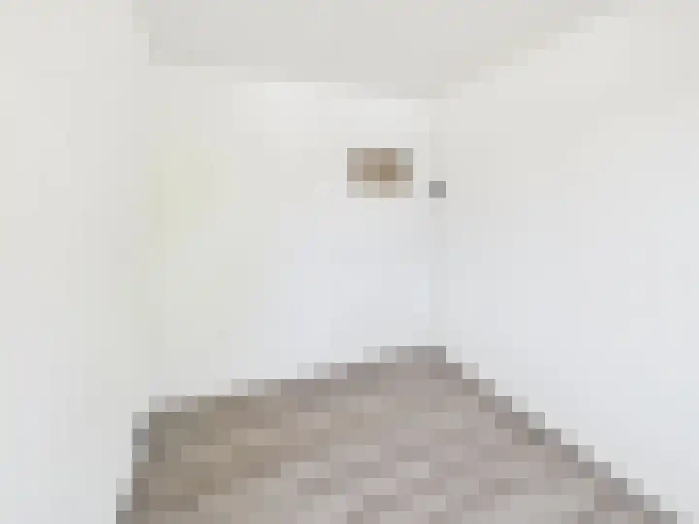 Walstraat 10 Sas van Gent thumbnail 22
