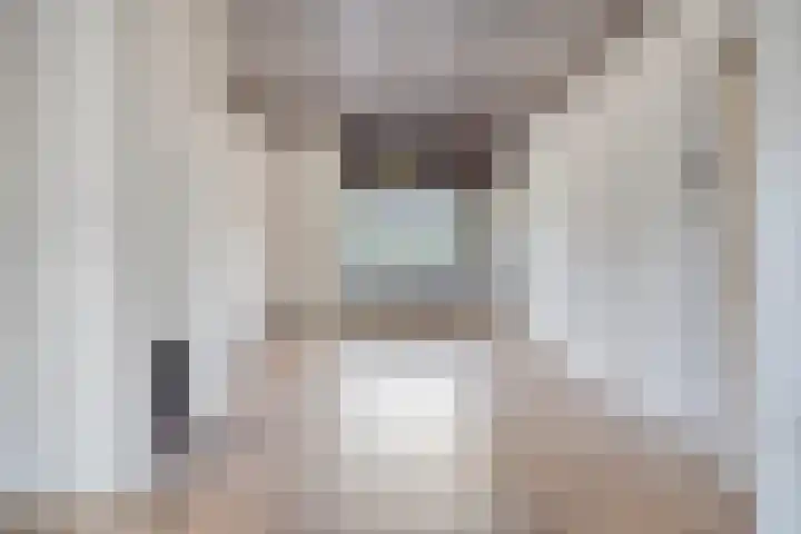 Walstraat 12 Sas van Gent thumbnail 4