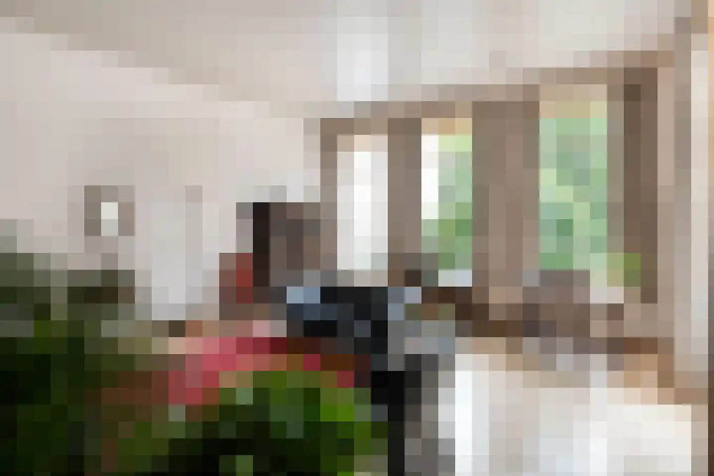 Walstraat 12 Zwolle thumbnail 18