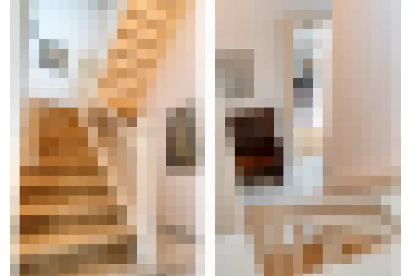 Walstraat 12 Zwolle thumbnail 30