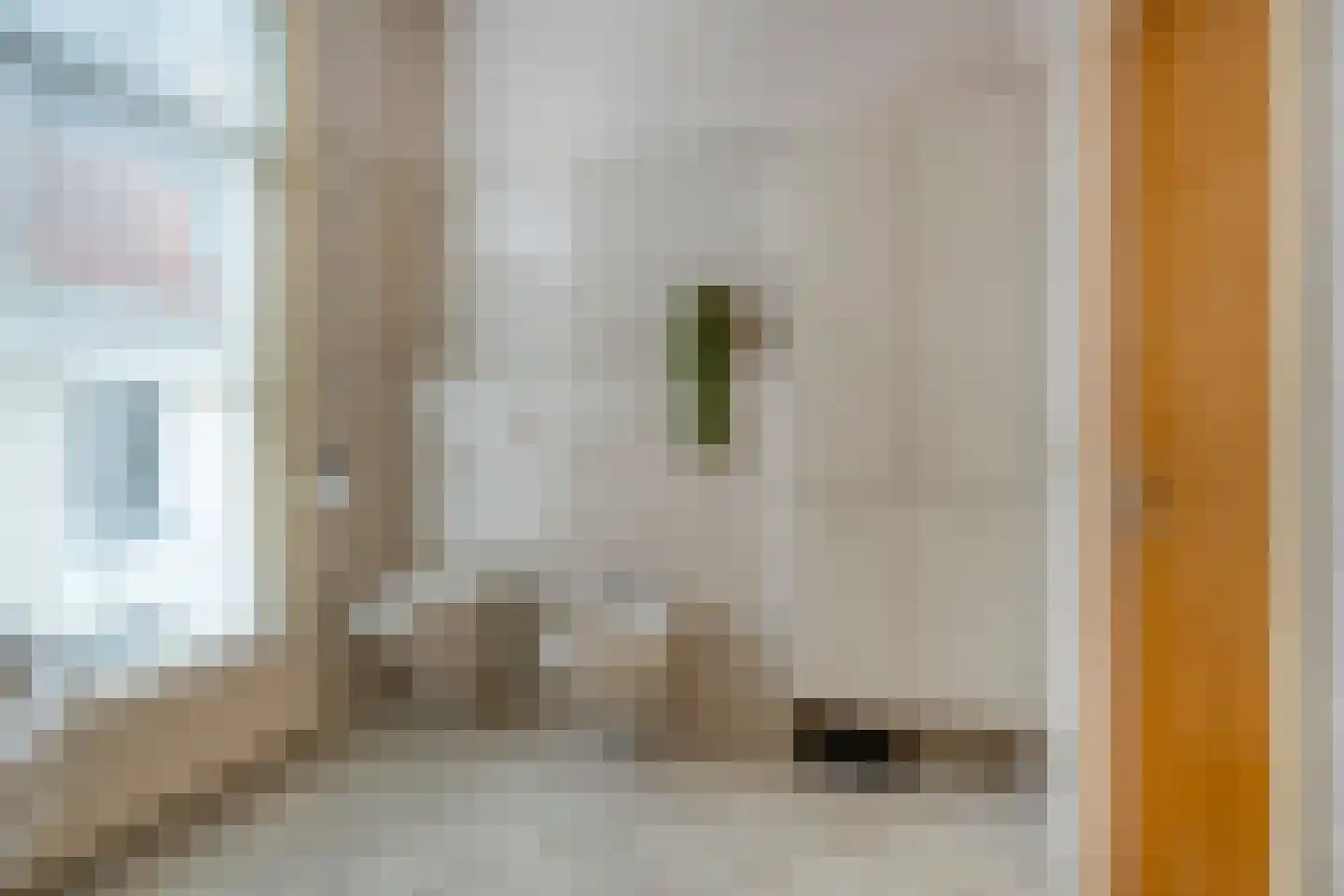 Walstraat 12 Zwolle thumbnail 35