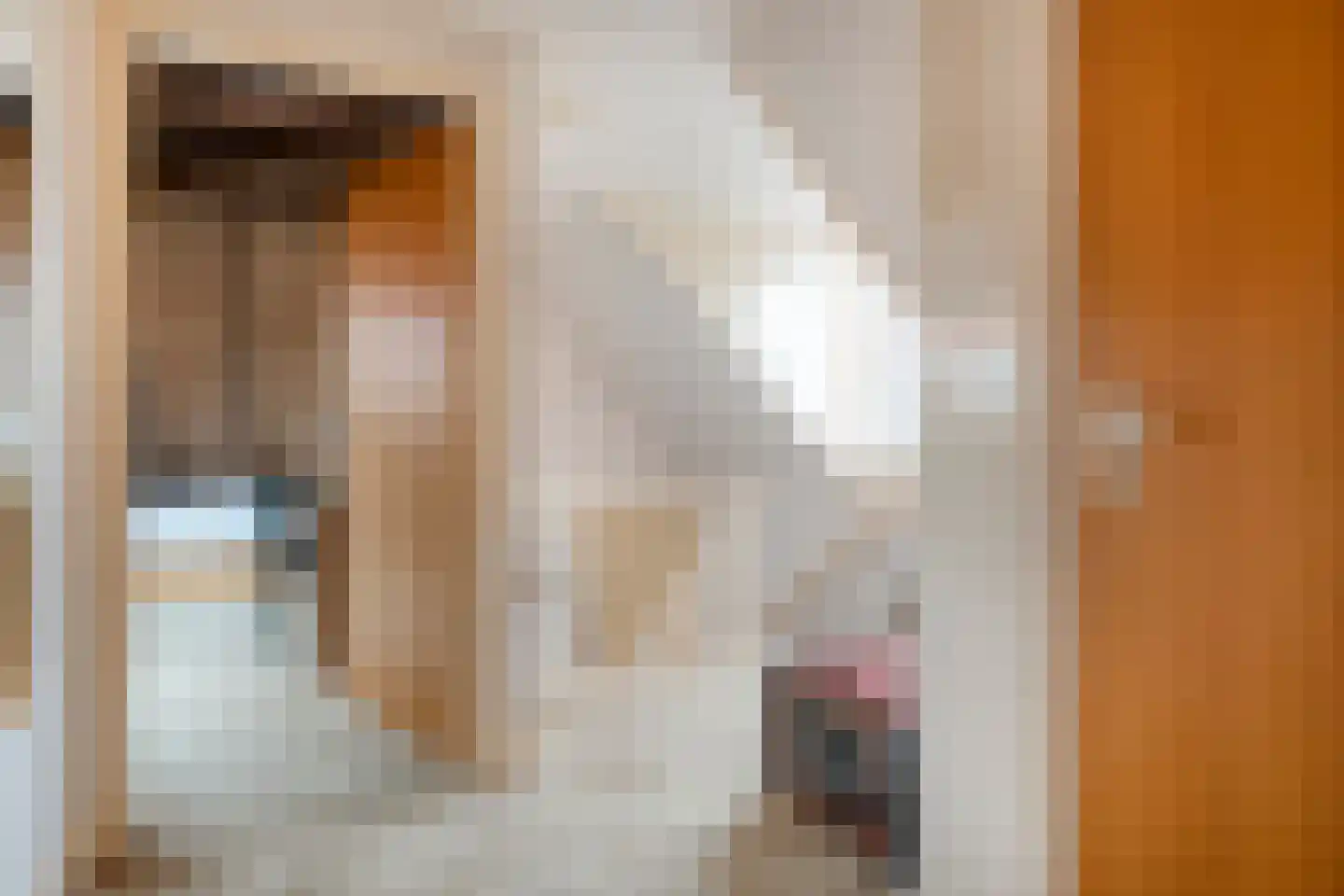 Walstraat 12 Zwolle thumbnail 39