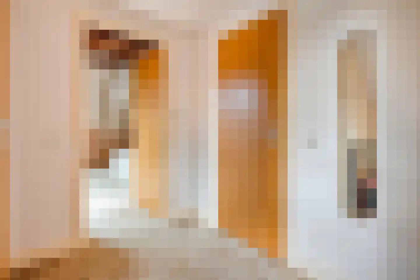 Walstraat 12 Zwolle thumbnail 42