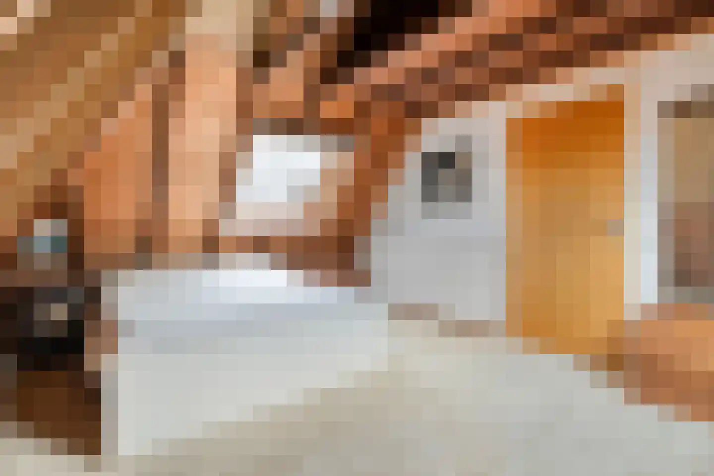 Walstraat 12 Zwolle thumbnail 43