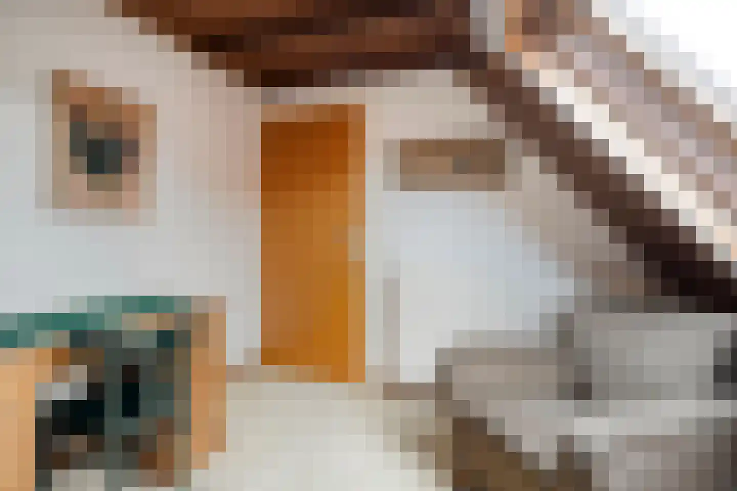Walstraat 12 Zwolle thumbnail 46
