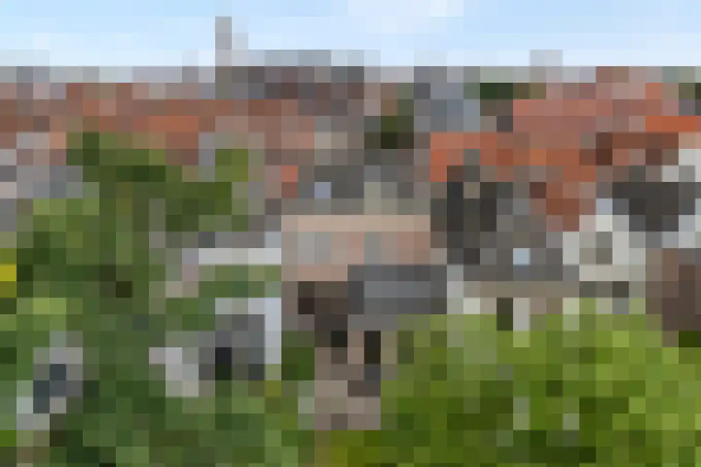 Walstraat 12 Zwolle thumbnail 5