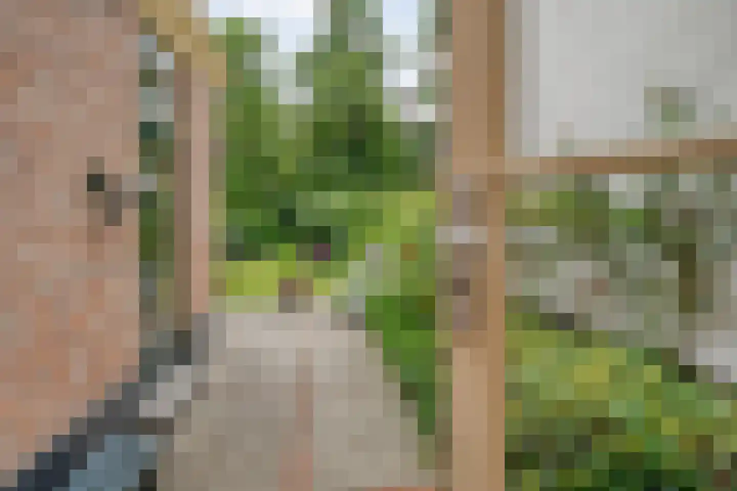 Walstraat 12 Zwolle thumbnail 55