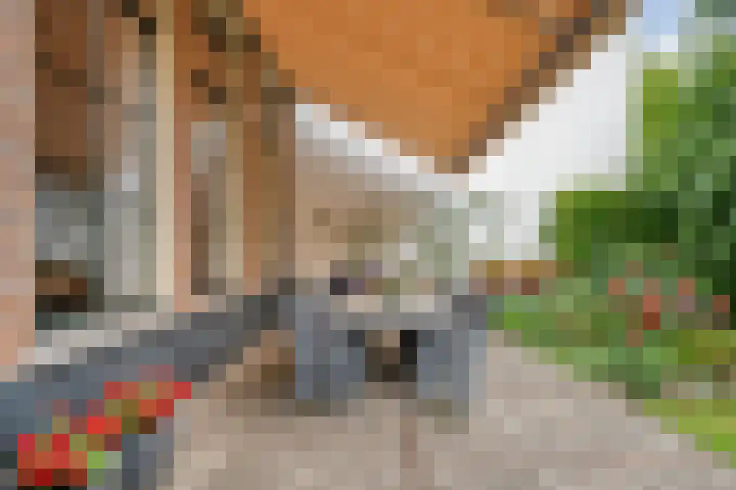 Walstraat 12 Zwolle thumbnail 57