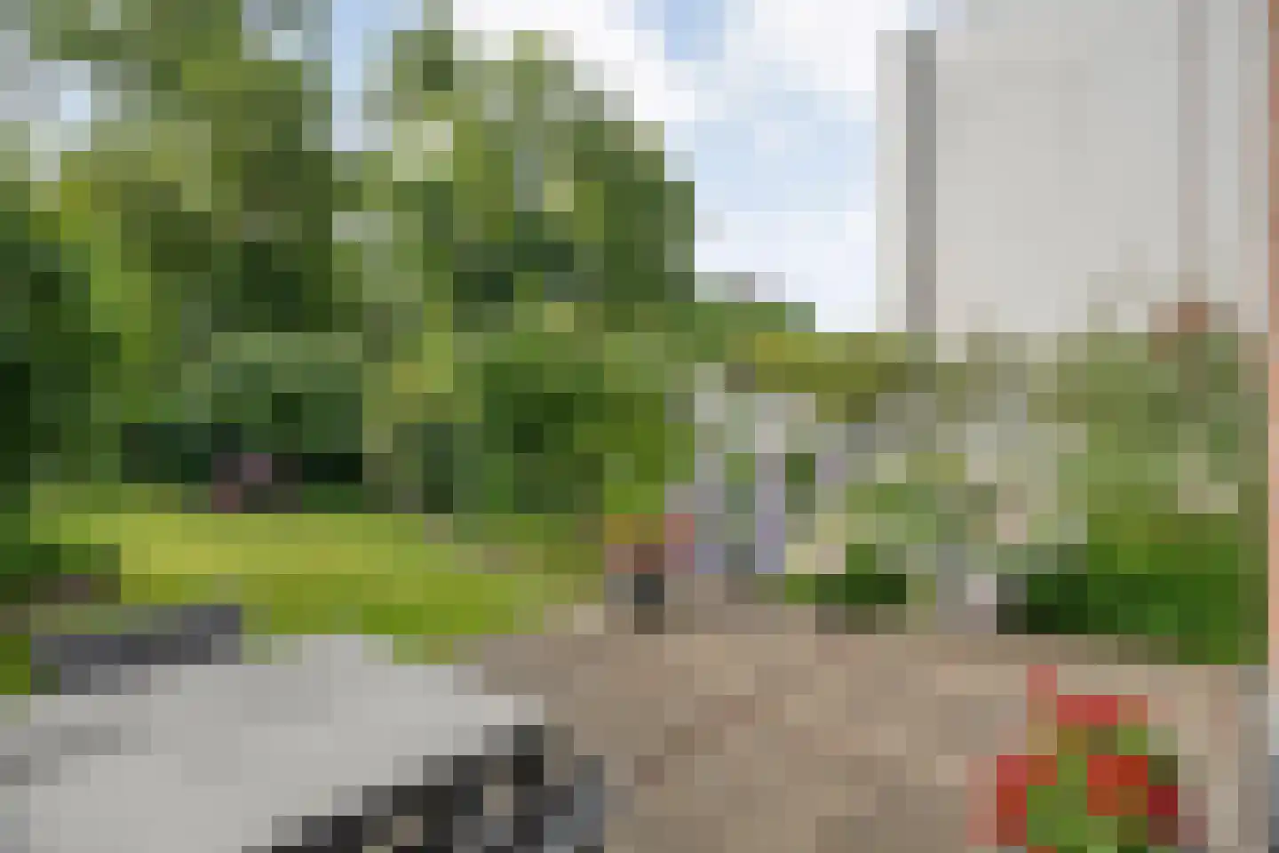 Walstraat 12 Zwolle thumbnail 58