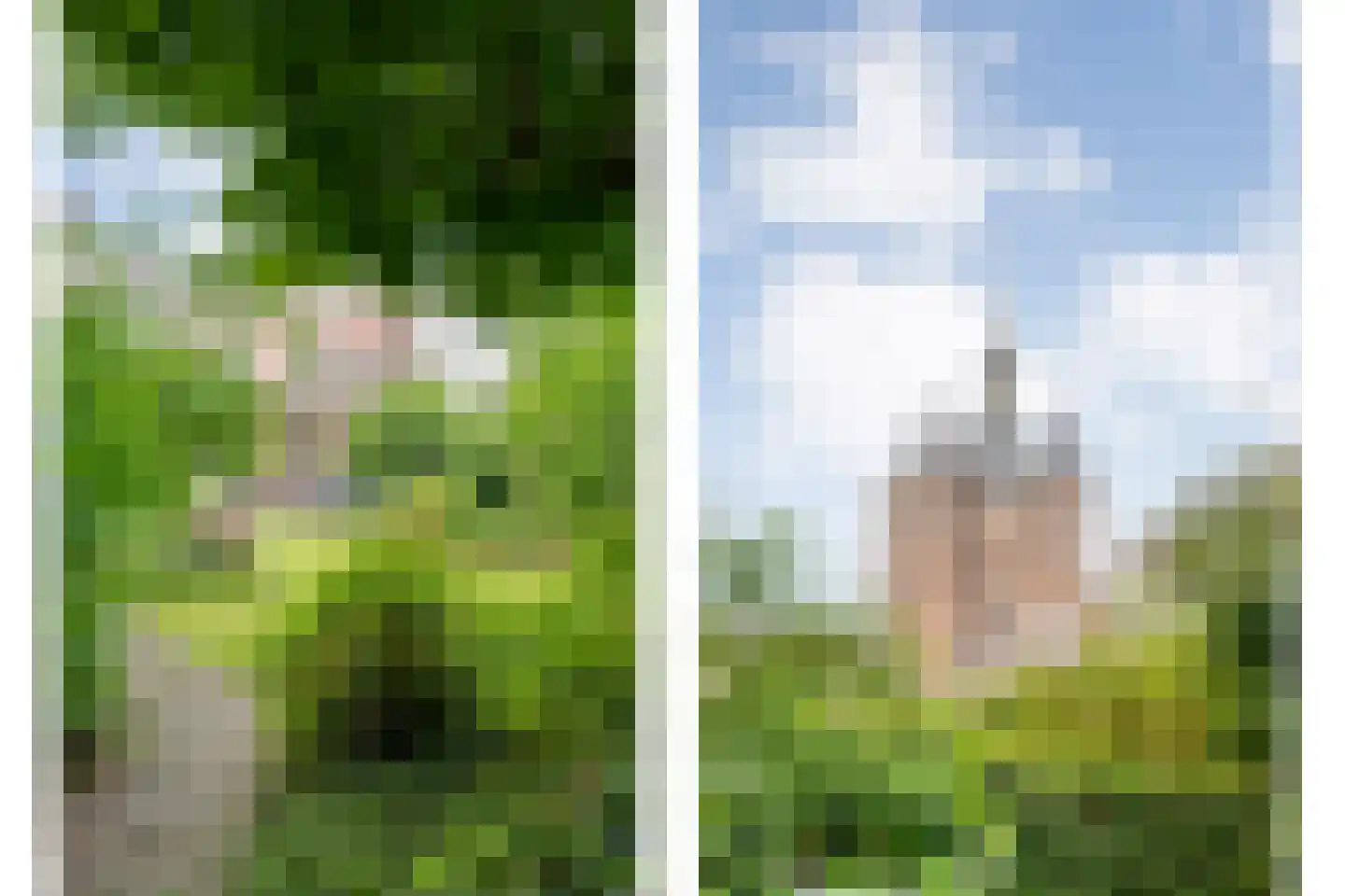 Walstraat 12 Zwolle thumbnail 6