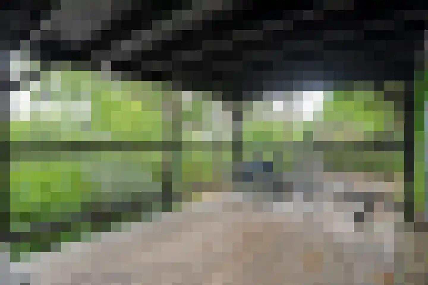 Walstraat 12 Zwolle thumbnail 65