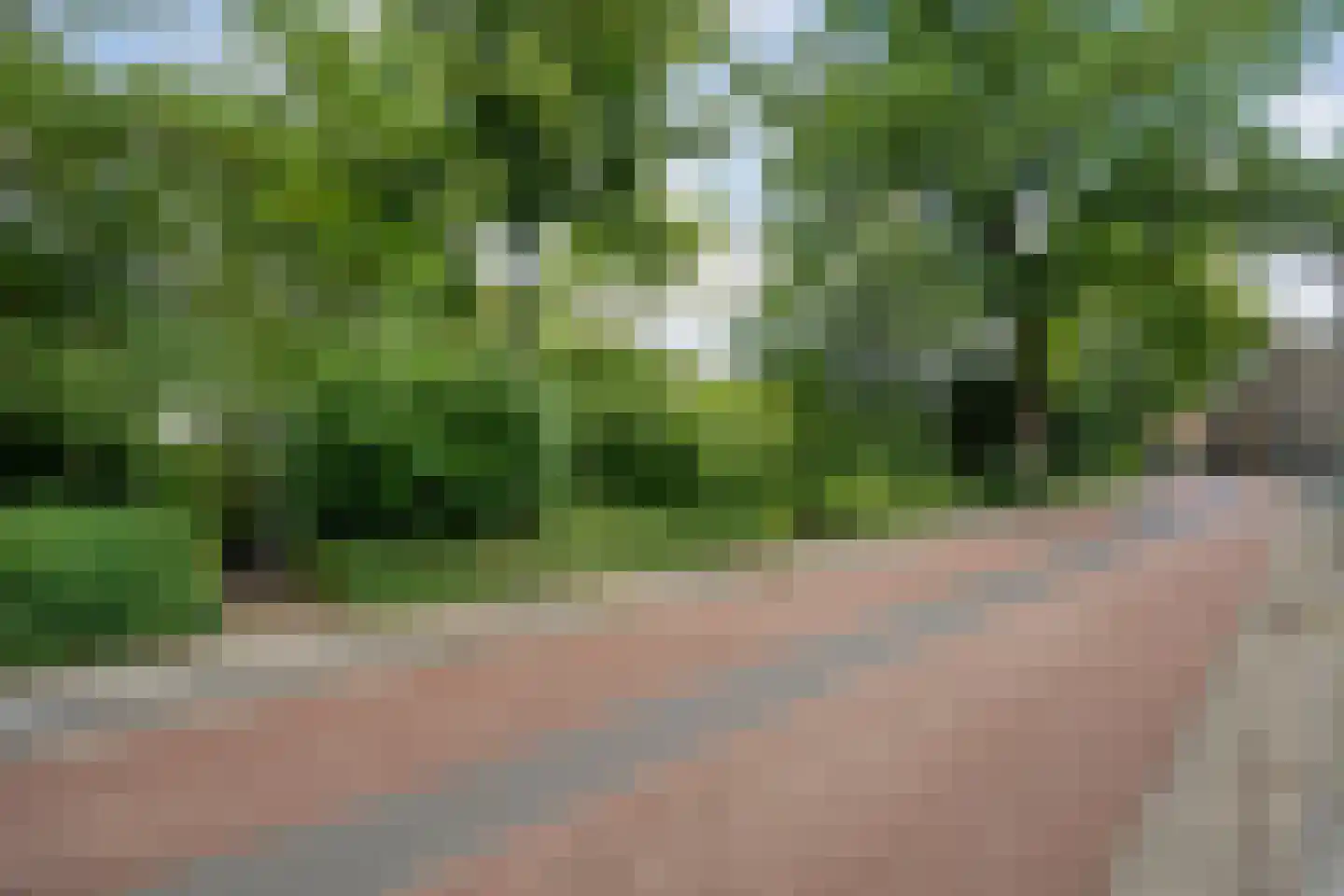 Walstraat 12 Zwolle thumbnail 66