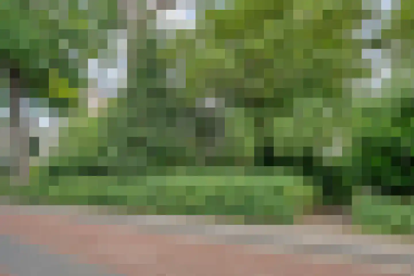Walstraat 12 Zwolle thumbnail 67